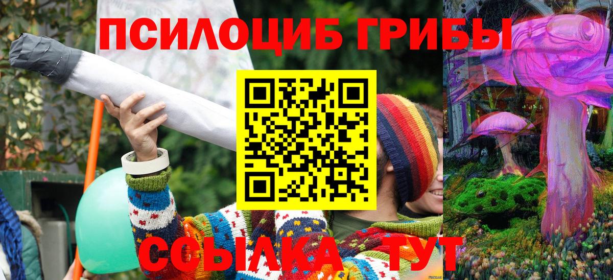 Галлюциногенные грибы Psilocybine cubensis Вичуга