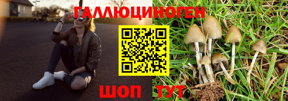 Вичуга  где продают   Псилоцибиновые грибы мухоморы  Вход с VPN  Галлюциногенные грибы Cubensis 